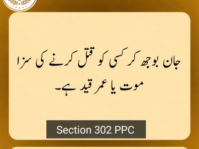 Supreme Court legal principle explained in Urdu text